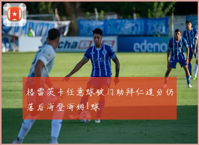 格雷茨卡任意球破门助拜仁追分仍落后海登海姆1球