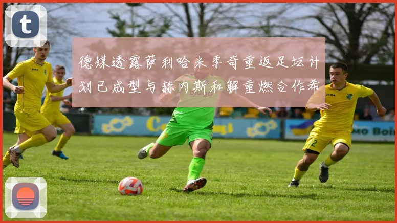 德媒透露萨利哈米季奇重返足坛计划已成型与赫内斯和解重燃合作希望
